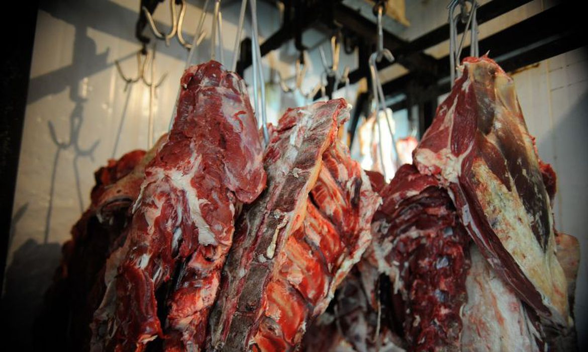 Estados Unidos voltam a importar carne bovina do Brasil