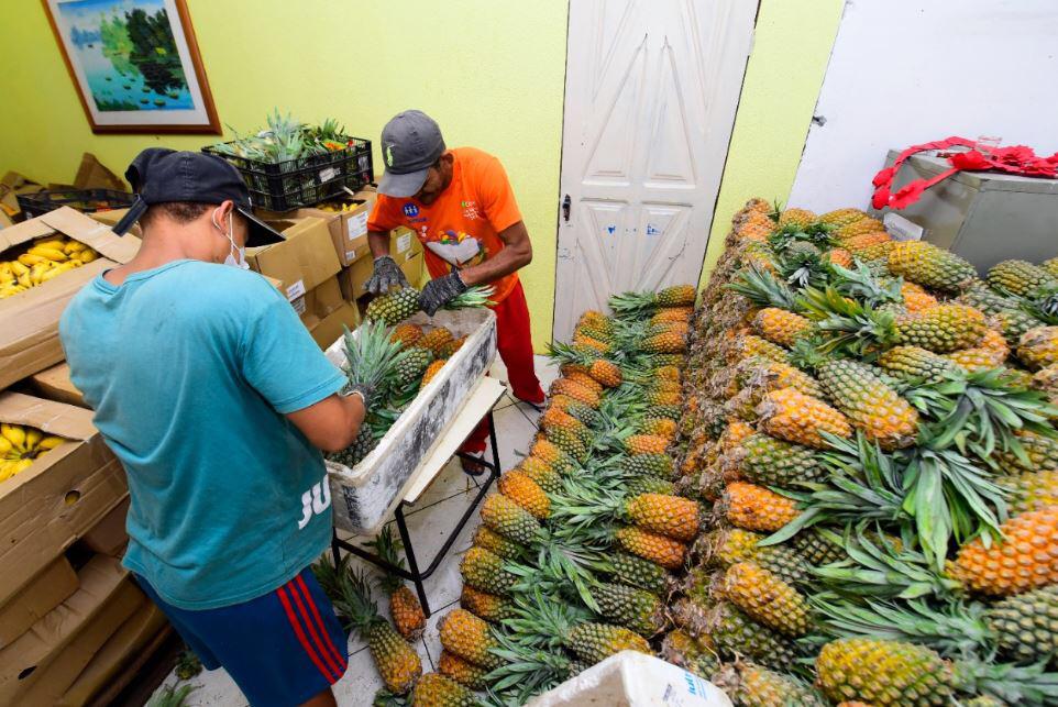 Governo do Amazonas doa 80 toneladas de alimentos para 150 instituições filantrópicas