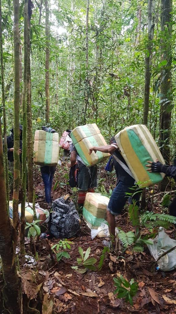 Operação policial prende três membros de quadrilha com 800 quilos de maconha skunk em Maraã