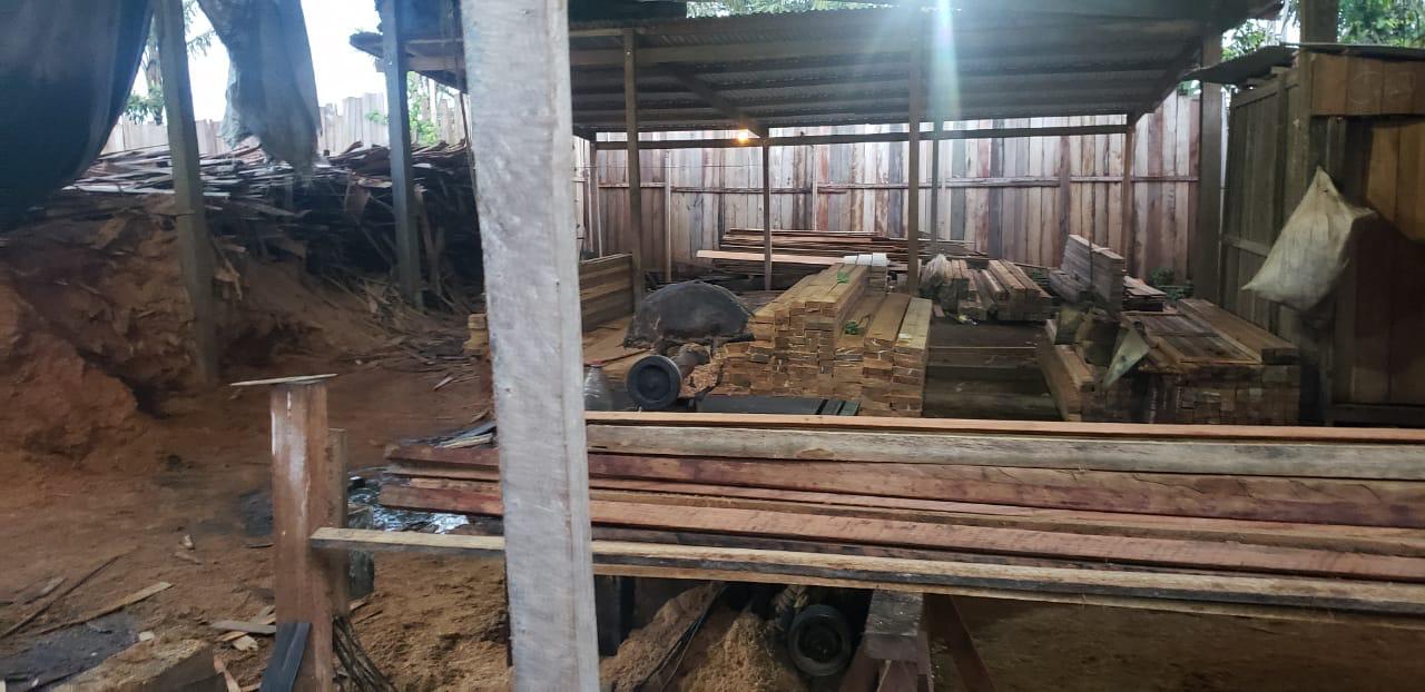 No AM, Polícias deflagram operação contra desmatamento e venda ilegal de madeira