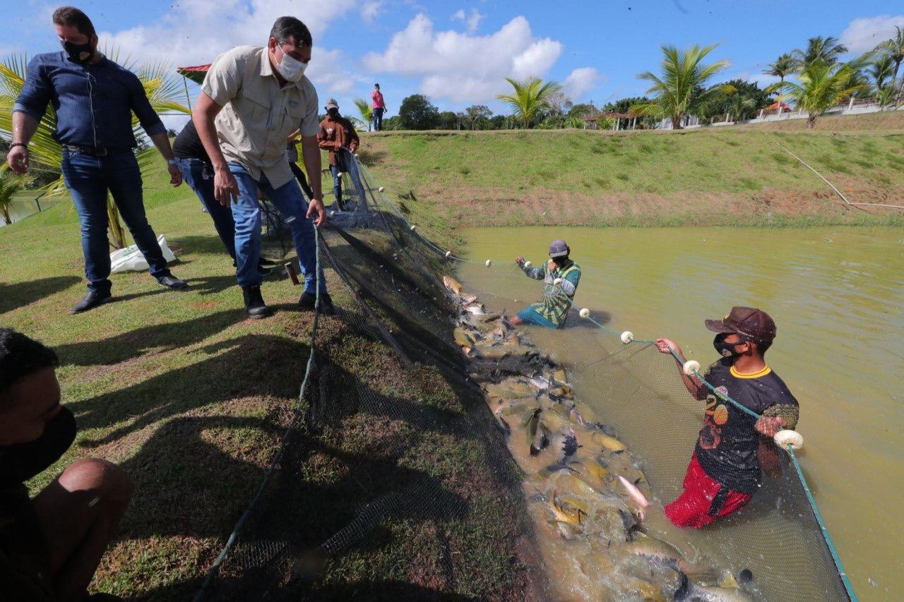 Governador Wilson Lima lança edital para a piscicultura e entrega fomentos ao setor primário