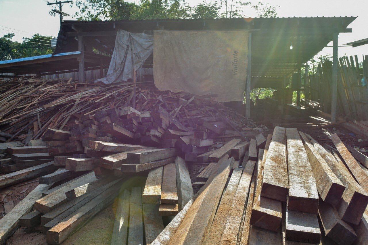 Operação contra desmatamento e venda ilegal de madeira desarticula organização criminosa comandada por empresários
