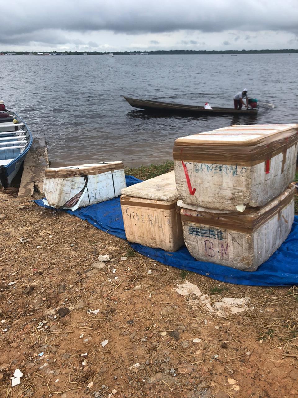 Polícia Civil apreende cinco toneladas de pirarucu ilegal em duas embarcações, no município de Tefé