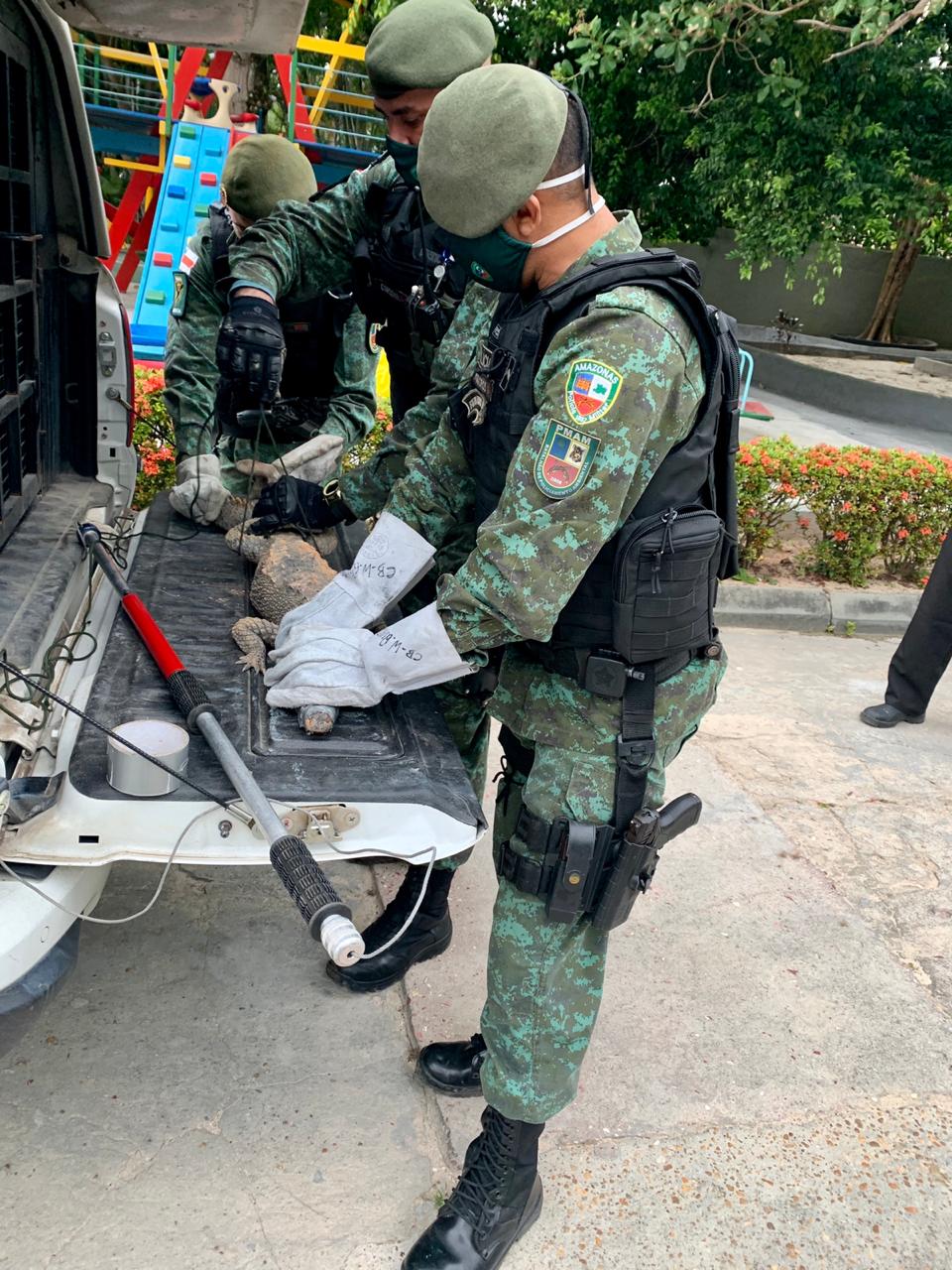 Batalhão Ambiental bate recorde de resgate de animais silvestres