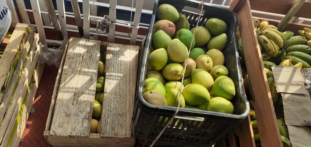 Em Parintins, Adaf apreende 80 quilos de manga em embarcação