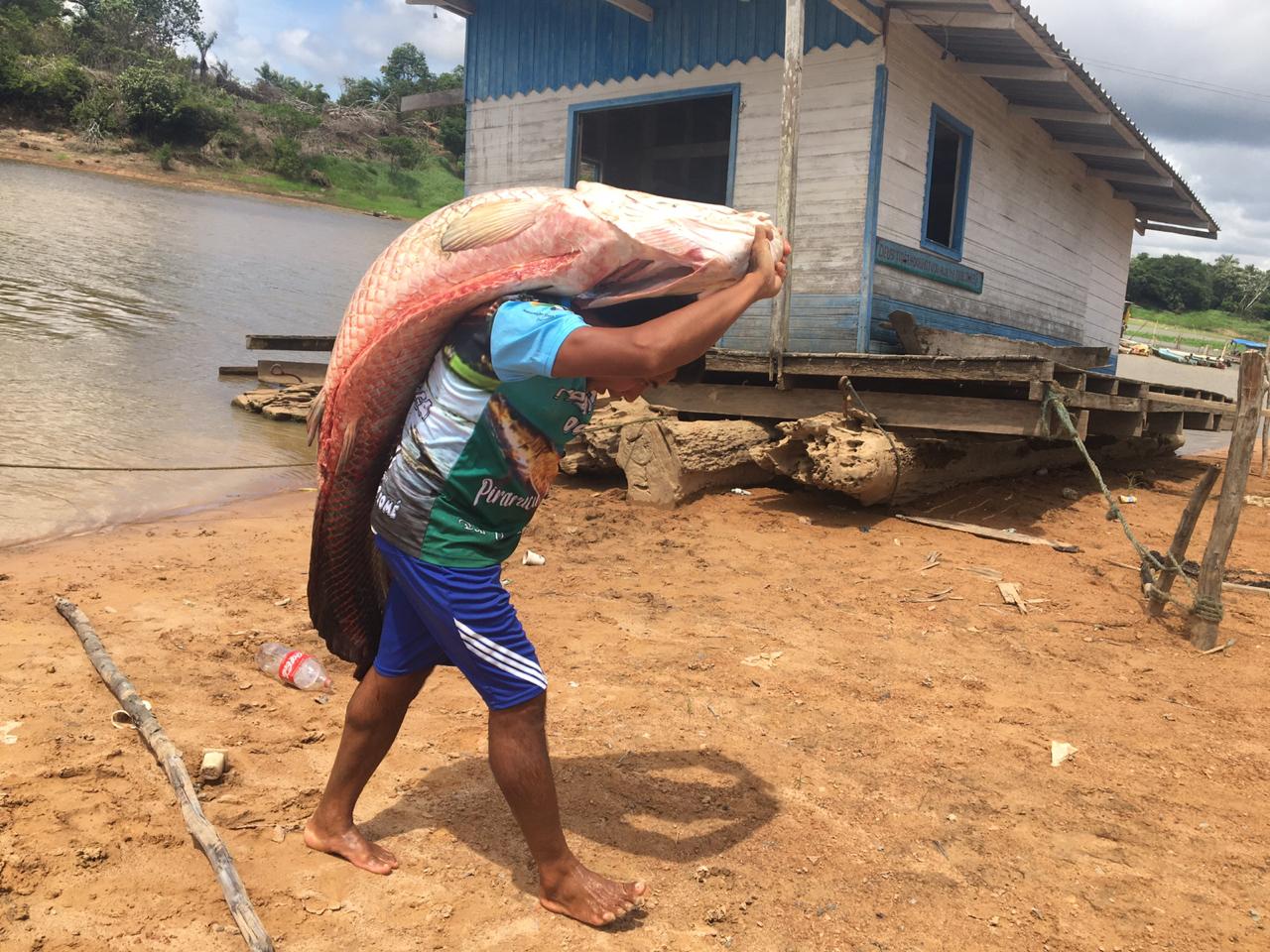 Idam apoia despesca e pescadores já capturaram 45 pirarucus em Boa Vista do Ramos