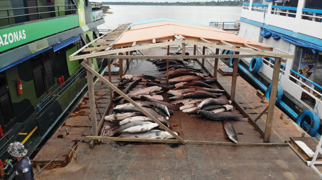 Base Arpão apreende cinco toneladas de pirarucu ilegal em Coari