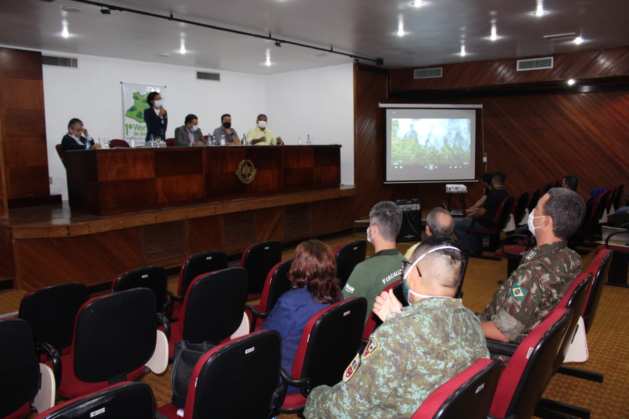 Órgãos do Estado participam de Workshop para planejar ações contra queimadas para 2021