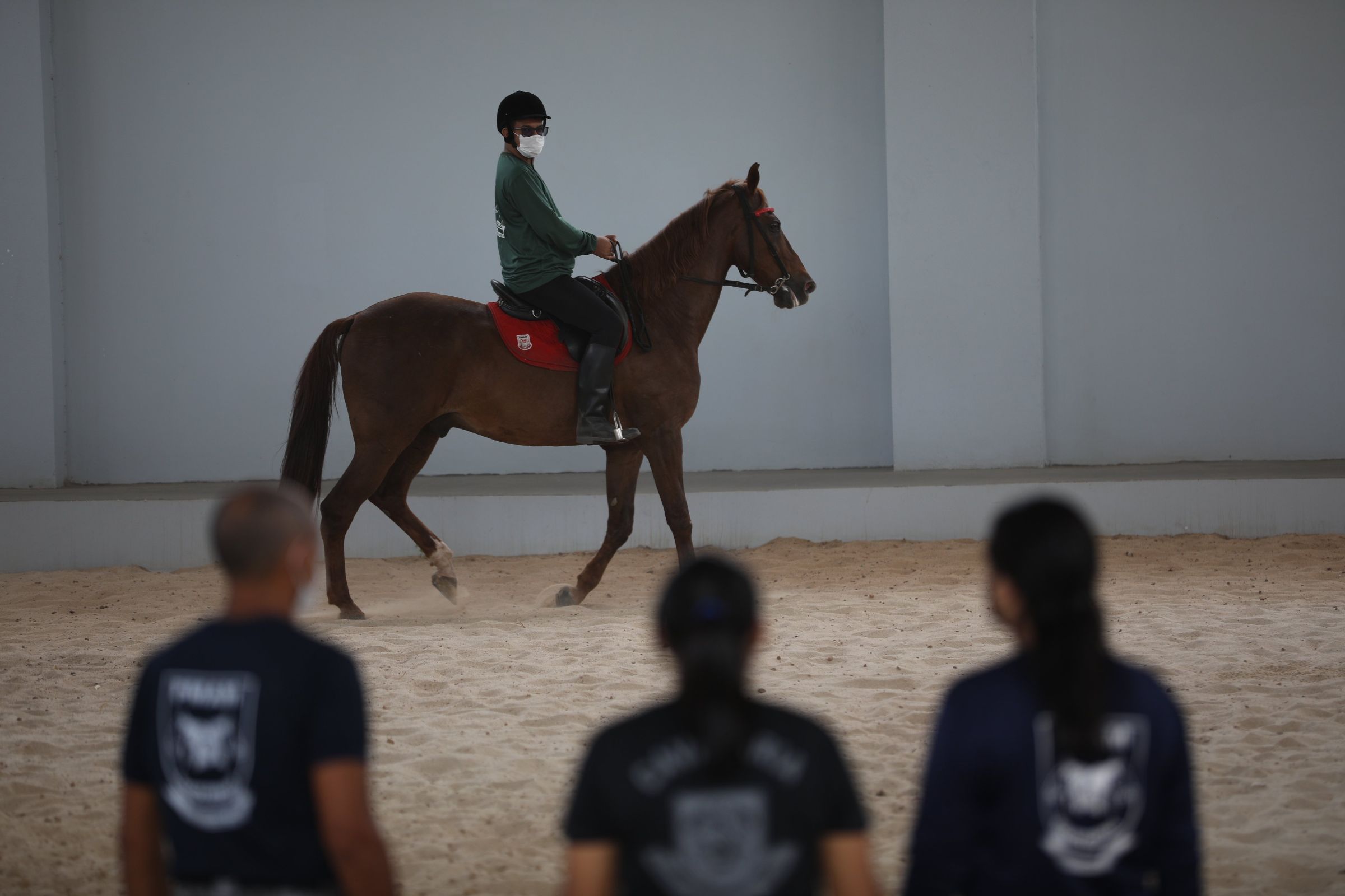Cavalaria da Polícia Militar retoma atividades da Equoterapia para pessoas com deficiência
