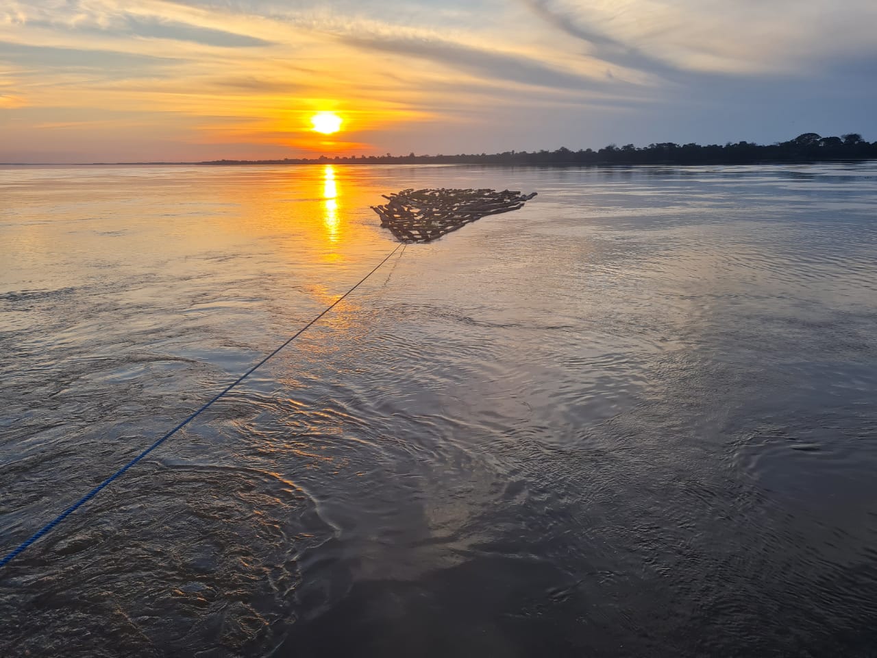 Mais de 500 metros cúbicos de madeira ilegal foram apreendidos por agentes da Base Arpão