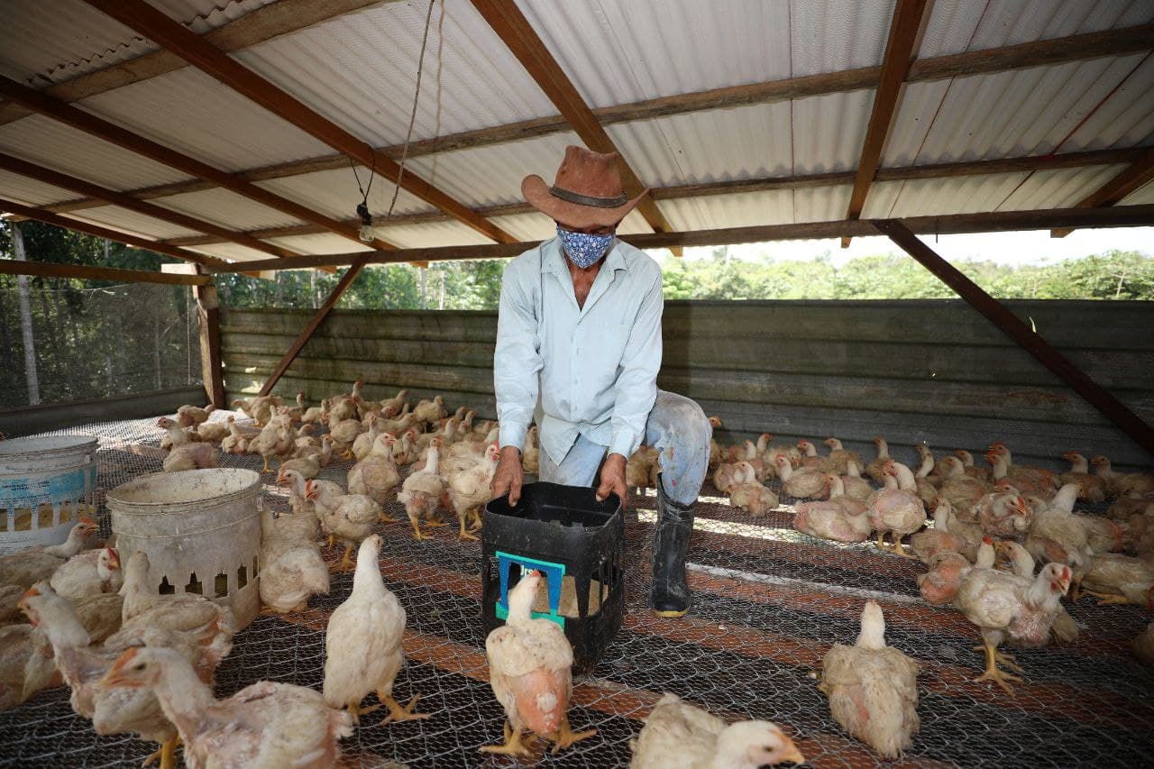 Modernização da AM-010: maior escoamento de produtos causará redução nos preços para o consumidor
