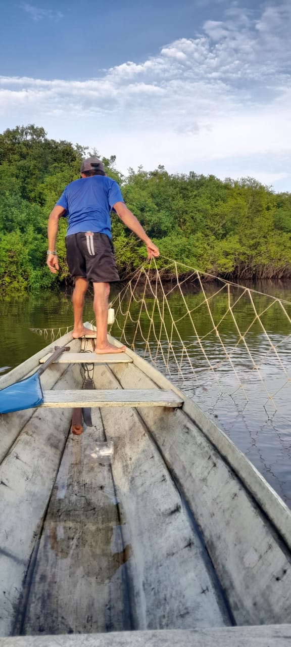 Governo do Amazonas coordena a 7ª Pesca Manejada do Pirarucu no rio Abufari, em Tapauá