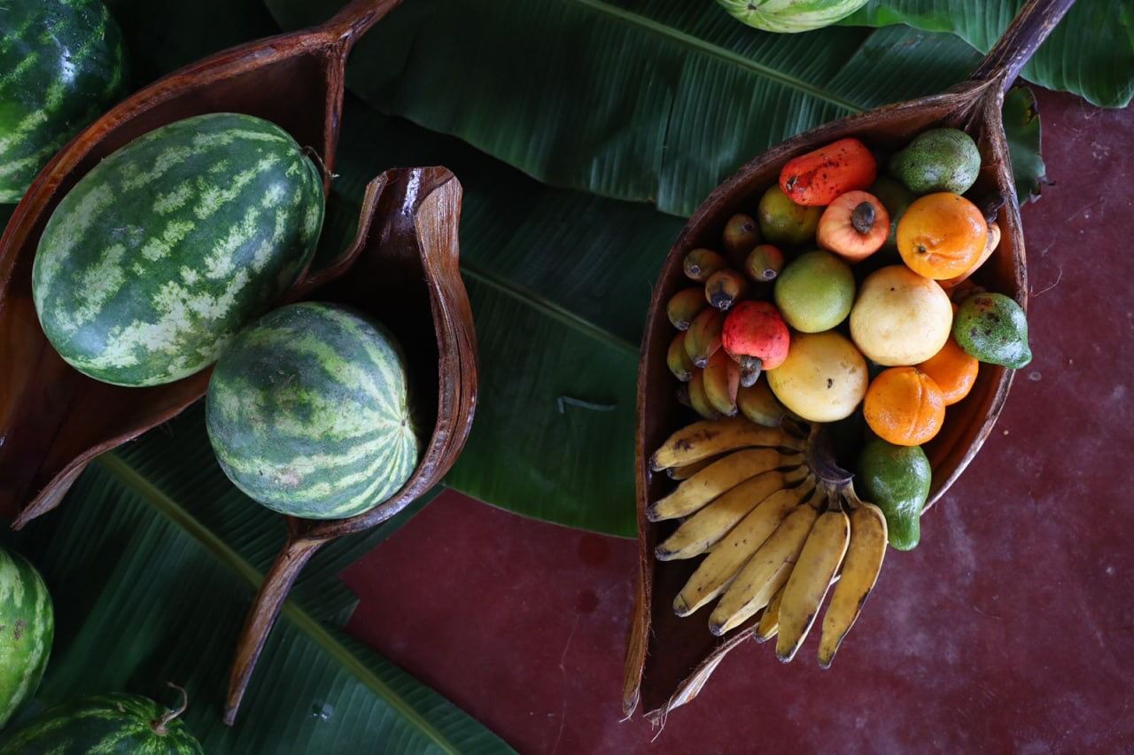 Governo do Amazonas investe R$ 38 milhões na agricultura familiar com aquisição de alimentação escolar