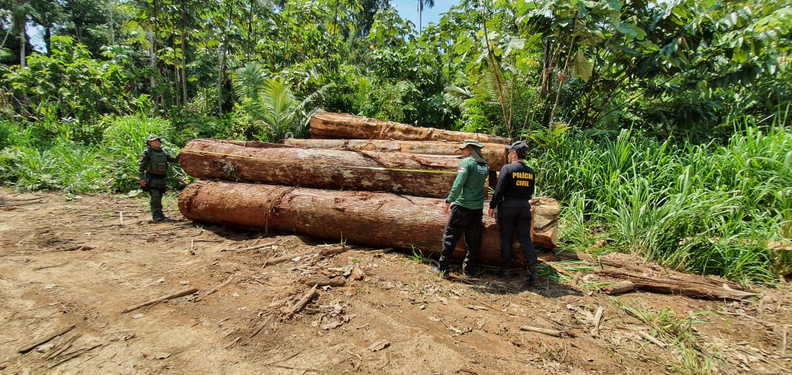 Operação Tamoiotatá resgata trabalhador em condição de escravidão e apreende madeira ilegal em Humaitá