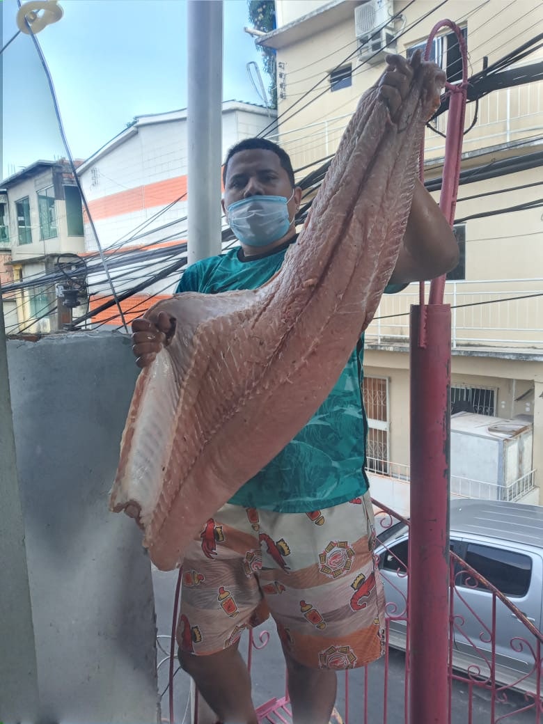 Até agosto, 28 toneladas de pescado ilegal apreendido em operações policiais foram doadas a entidades filantrópicas