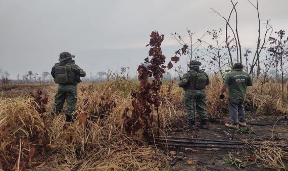 Segunda fase da Operação Tamoiotatá fiscaliza 41 áreas com registro de crimes ambientais