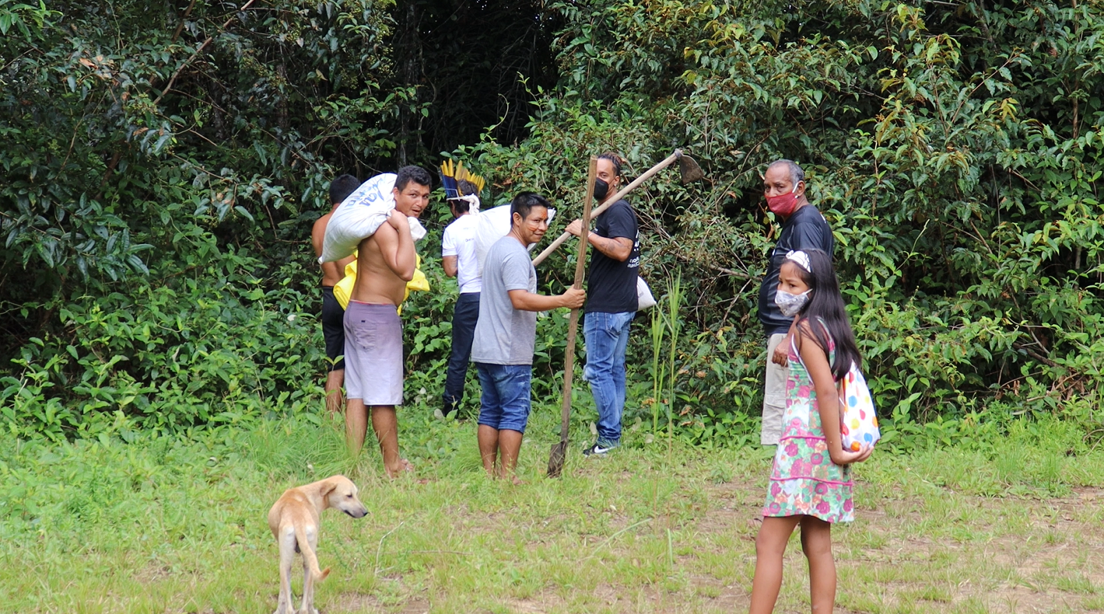 Governo do Amazonas entrega à Comunidade Indígena Beija-Flor 6 milhões de sementes de árvores