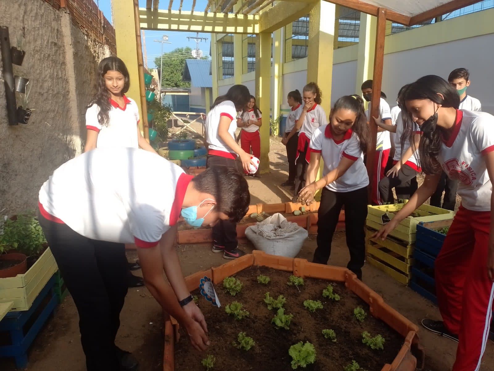 Escola em Parintins une saberes tradicionais e agricultura familiar em práticas educacionais