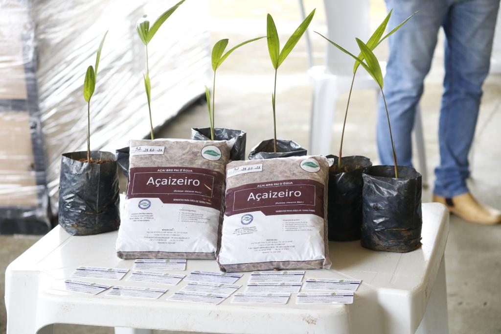 Investindo na expansão da produção agrícola, Governo do Estado entregou mais de 11,7 mil kits da agricultura familiar em 2022