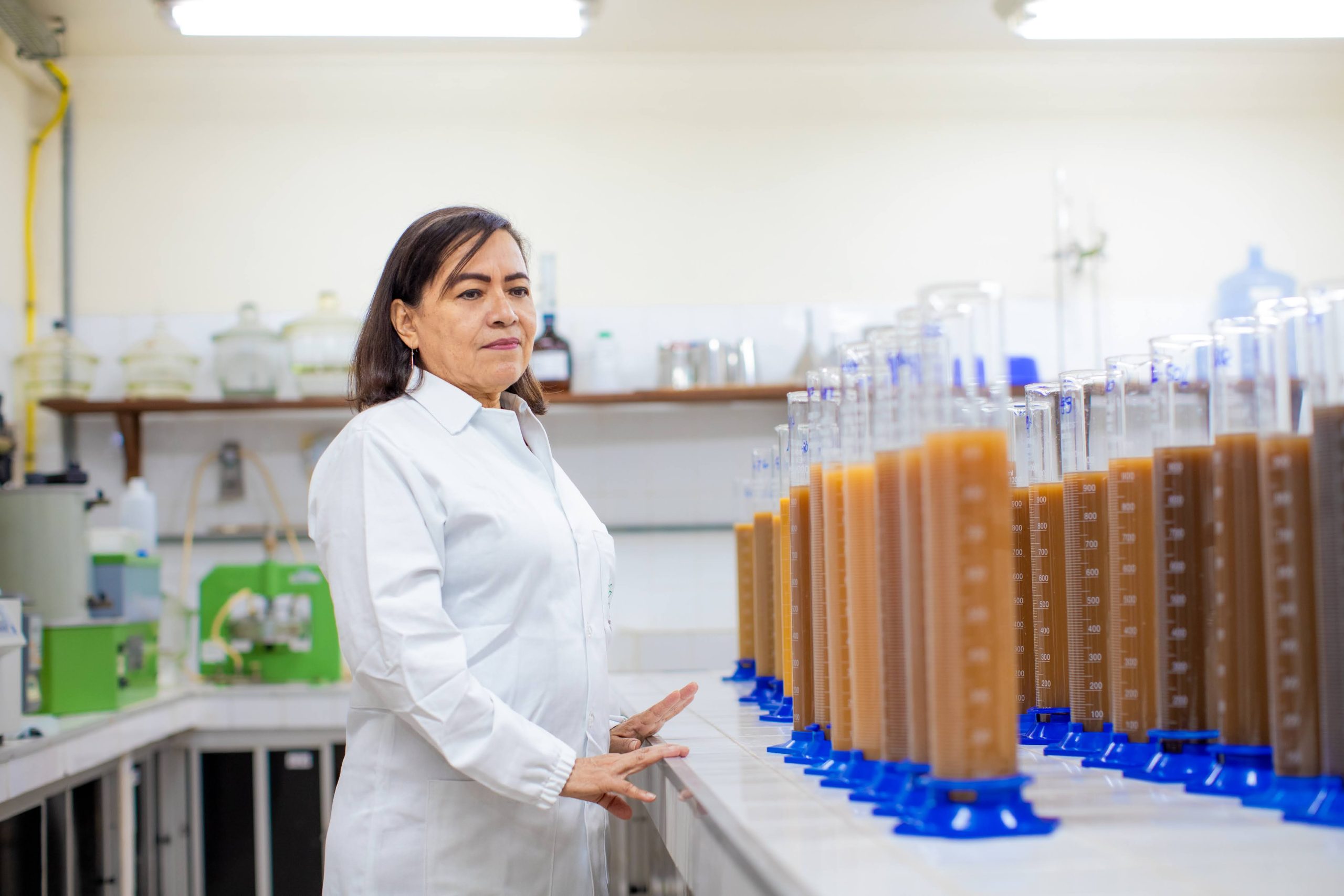 Pesquisa desenvolve melhoramento genético para contribuir na qualidade de sementes e frutos amazônicos
