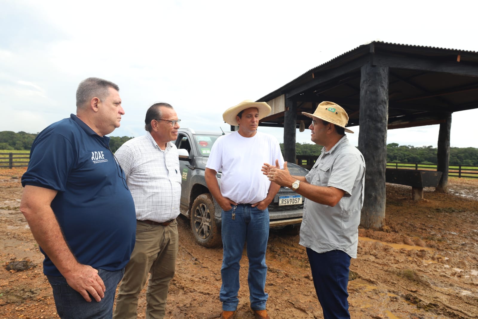 Sepror acompanha sistema de produção de gado que integra melhoramento genético e manejo de pastagem, em Humaitá