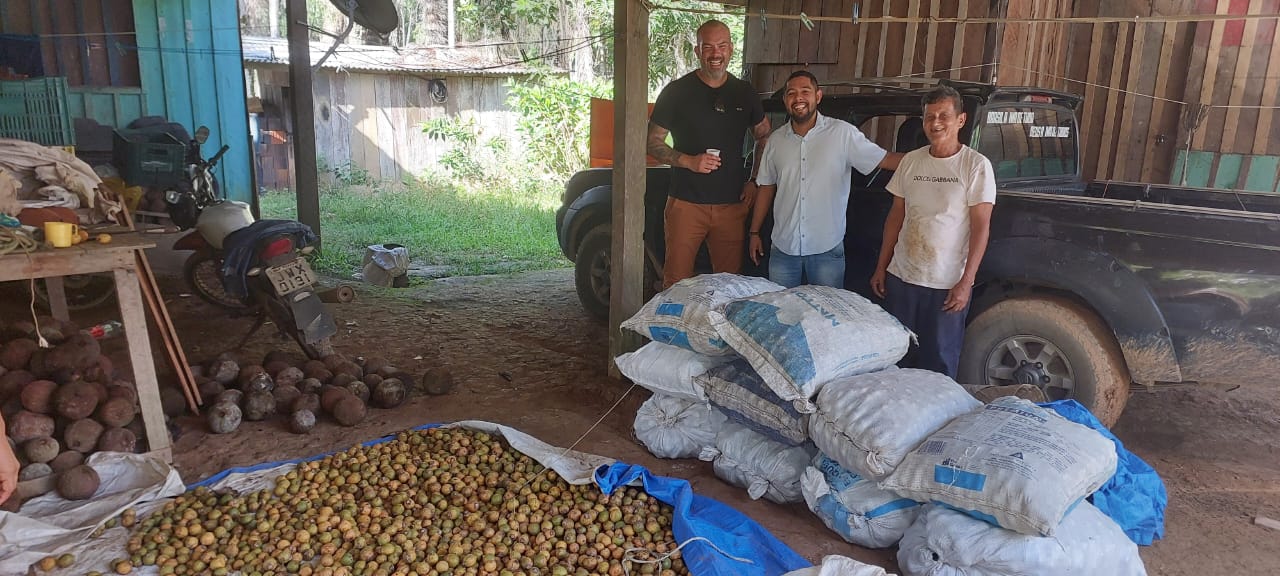 Indispensável no café da manhã amazonense, tucumã está no auge do período de safra