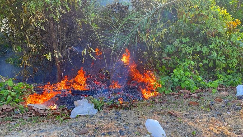 Corpo de Bombeiros combate 23 incêndios em áreas de vegetação na capital, nas últimas 48 horas