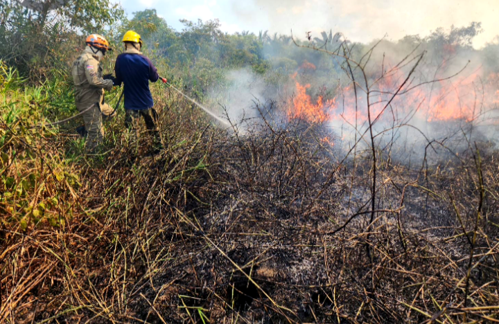 Em 40 dias de atuação, Operação Aceiro 2023 combateu 160 focos de incêndio no sul do Amazonas