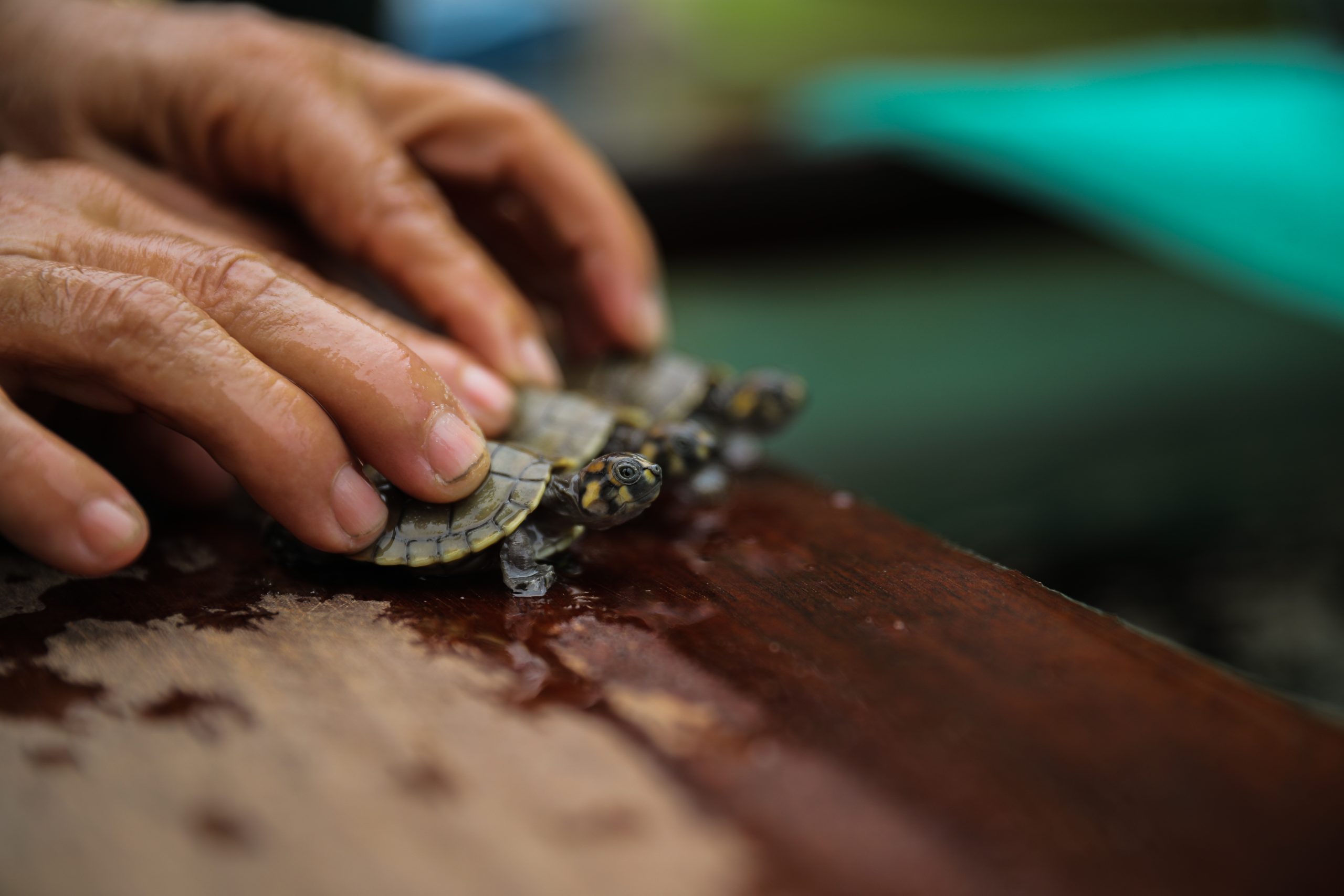 Amazonas mantém o primeiro lugar no ranking de competitivo da Região Norte, segundo o Centro de Liderança Pública (CLP)