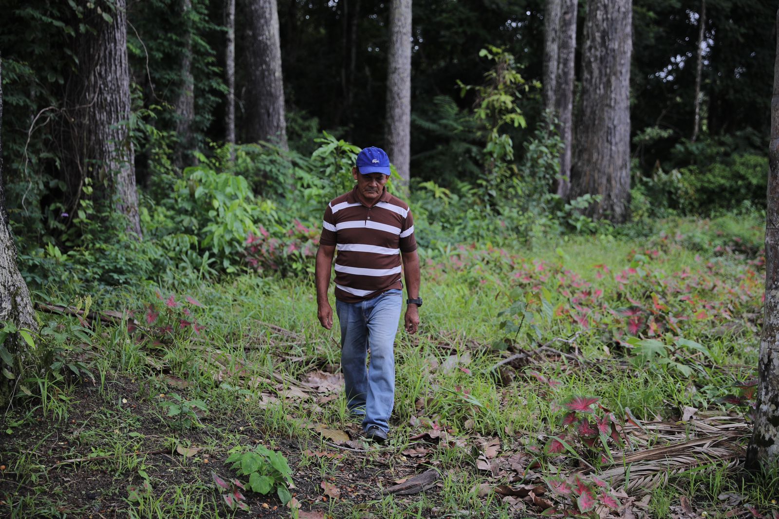única forma de sustentar uma Amazônia no futuro”, alertou Taveira.