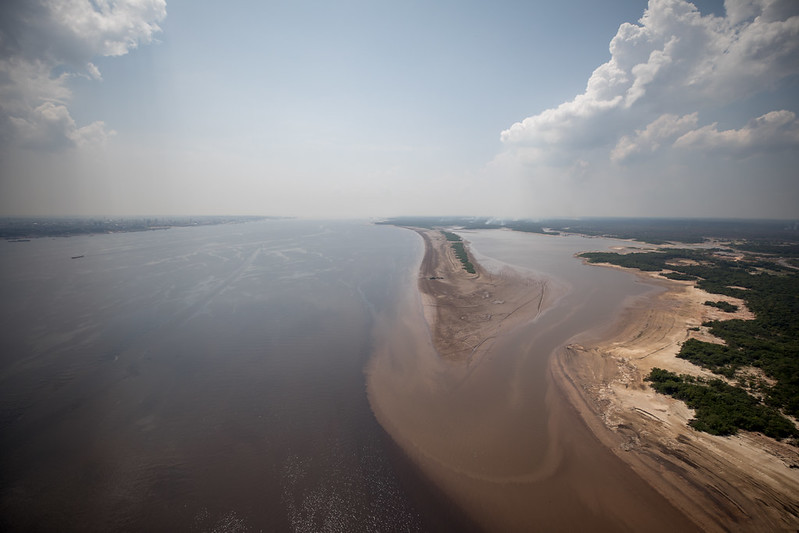 Estado e Governo Federal vão mapear situação da fauna nos rios do Amazonas