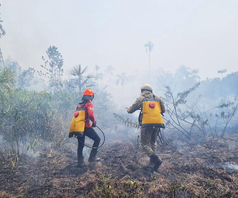 Aceiro 2023: Operação já combateu 2.074 incêndios no interior do estado