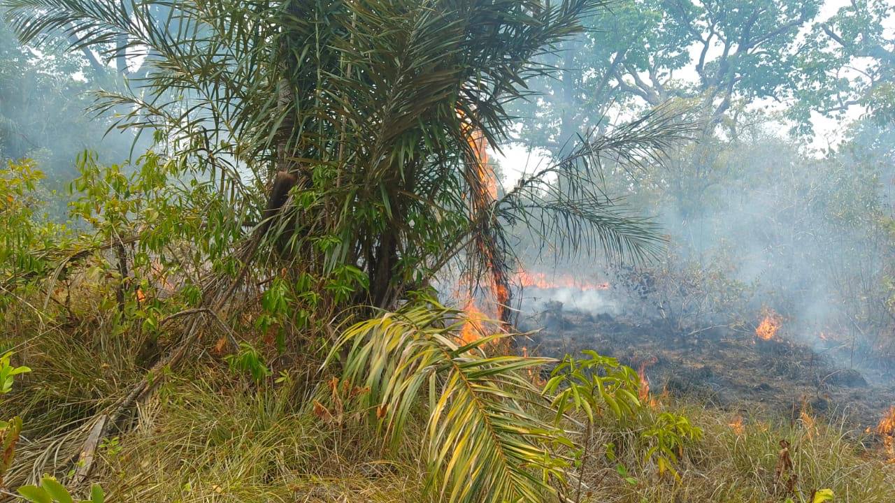 Corpo de Bombeiros combate incêndio em área de difícil acesso em Parintins