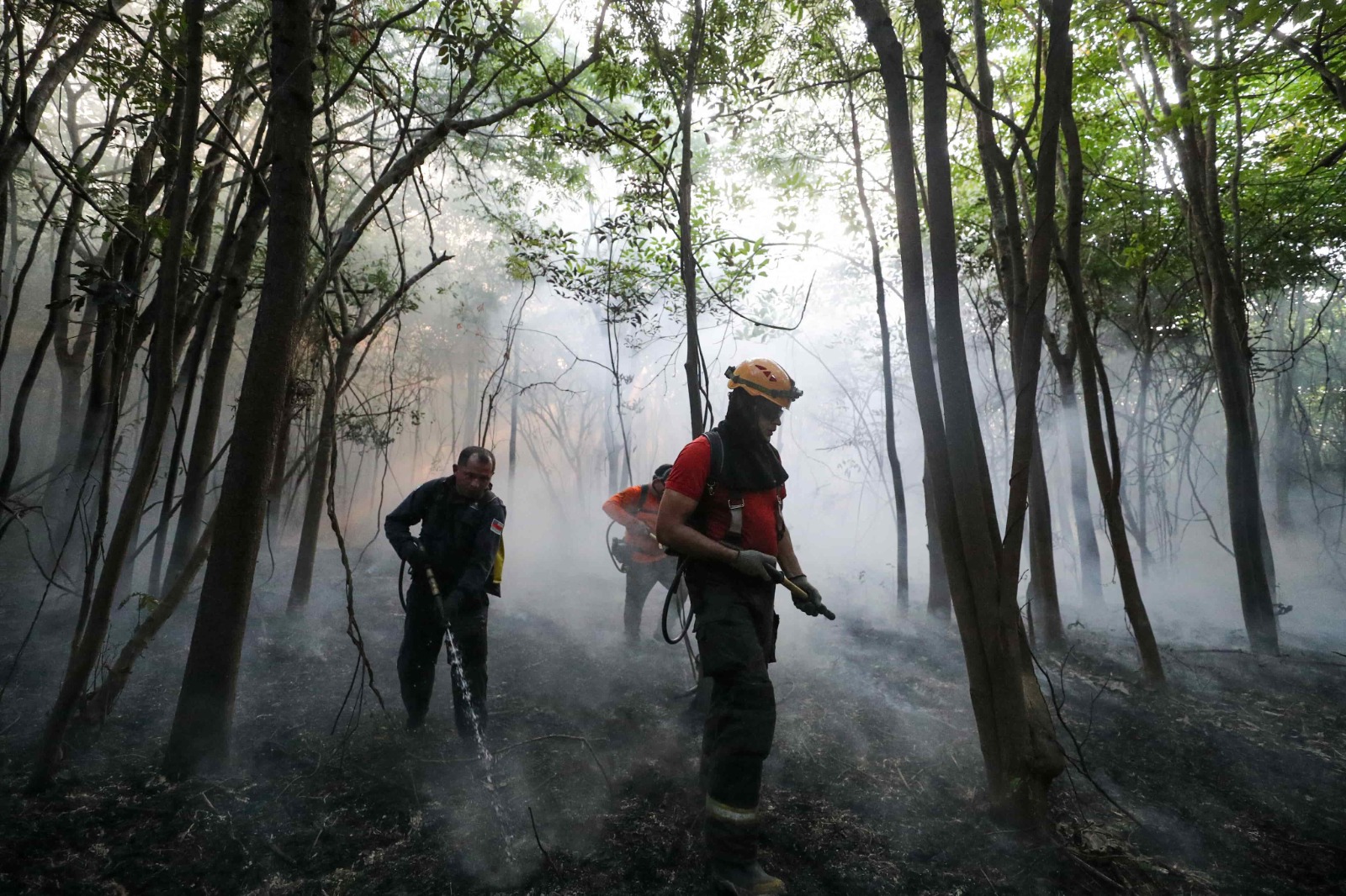 Medidas repressivas do Governo do Amazonas no combate a crimes ambientais resultam em ações de embargos, multas e infrações