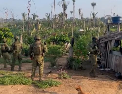 PC-AM, PMAM, Corpo de Bombeiros e DPTC deflagram Operação Terra Prometida em Humaitá