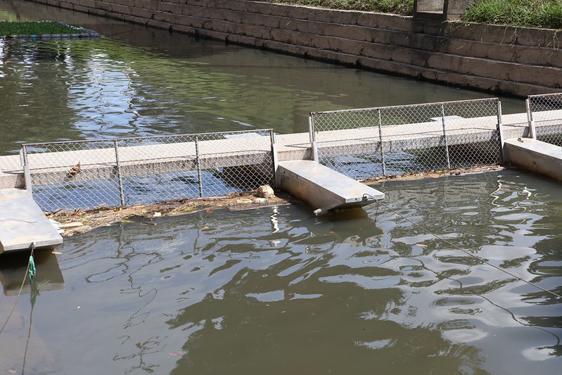 Prefeito fiscaliza operações de ecobarreira instalada no igarapé dos Franceses