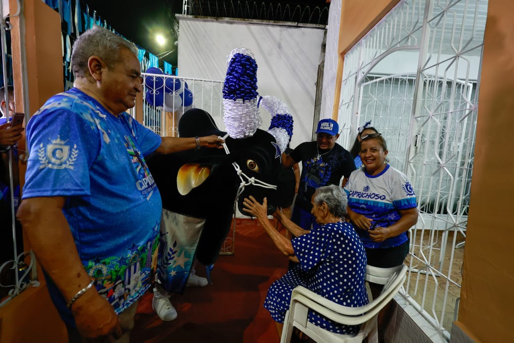 Festival de Parintins 2024: Boi de Rua arrasta multidão azulada do Caprichoso pelas ruas até o Bumbódromo