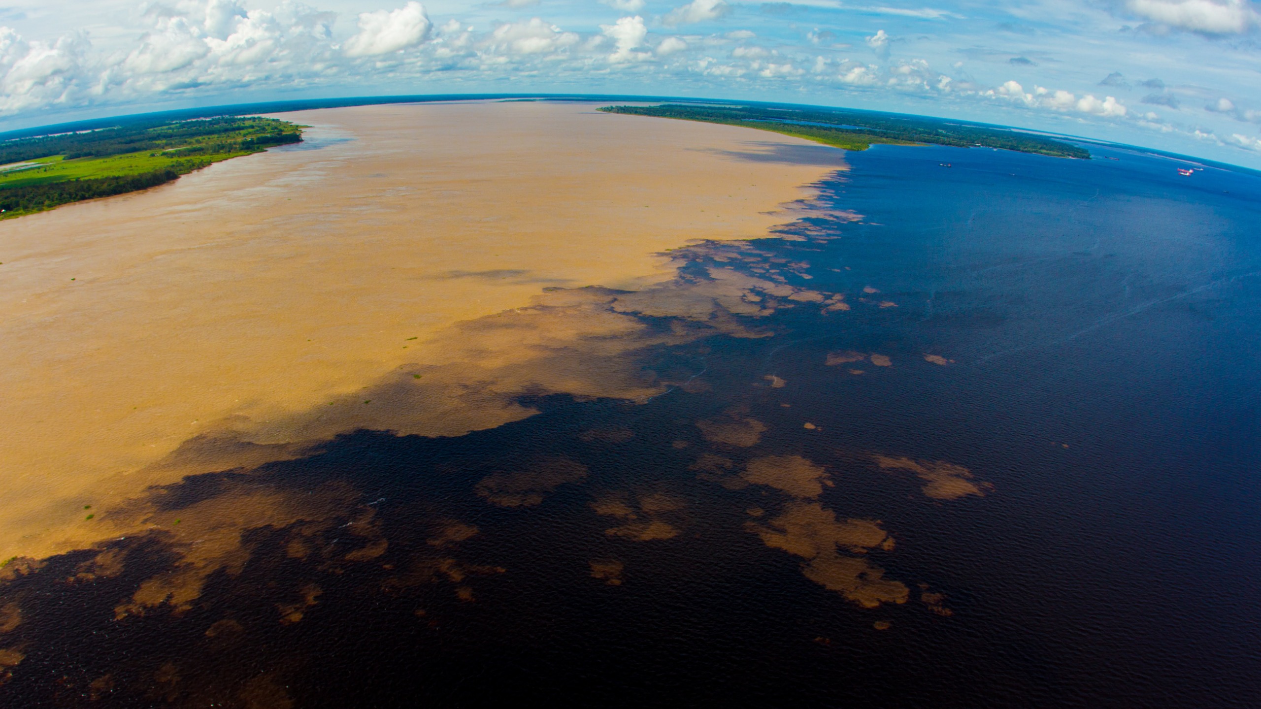 Neste Dia Mundial do Meio Ambiente, Fapeam destaca pesquisa e ações apoiadas pelo Governo do Amazonas