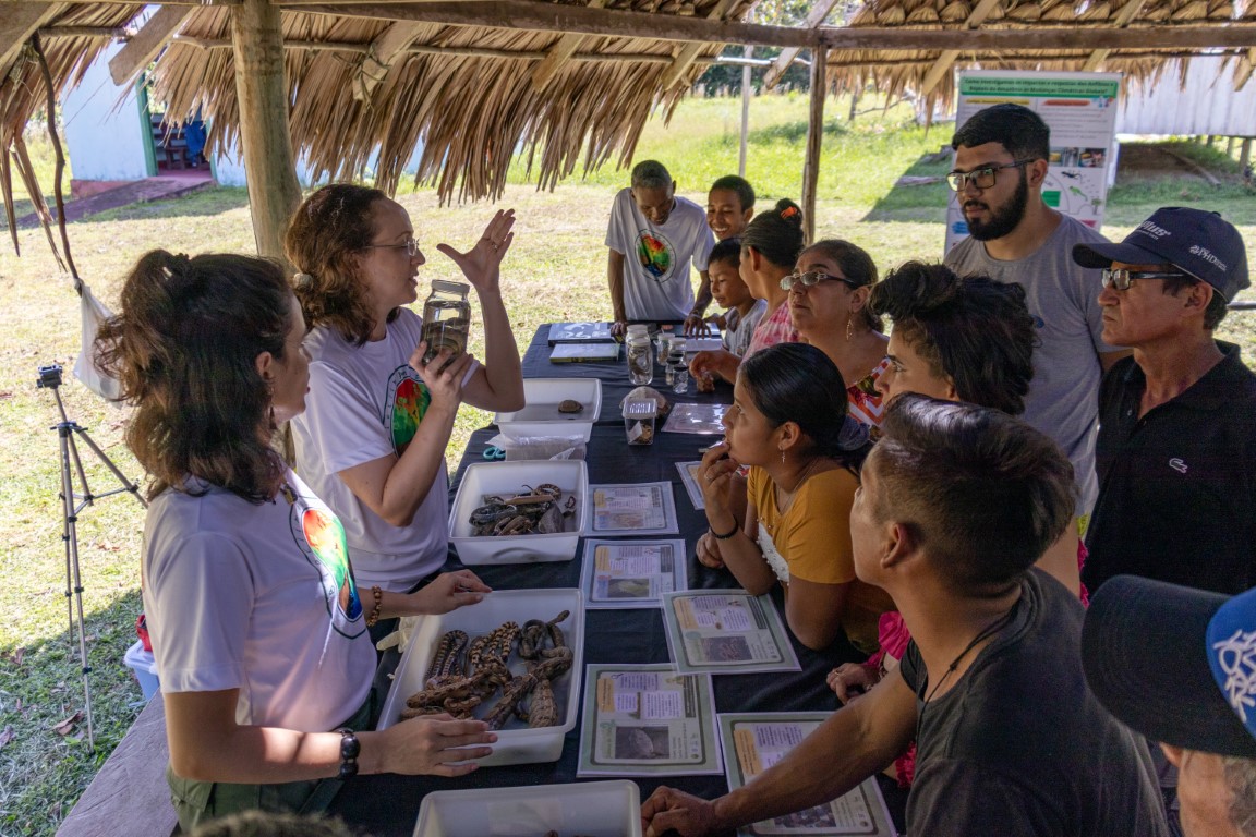 Neste Dia Mundial do Meio Ambiente, Fapeam destaca pesquisa e ações apoiadas pelo Governo do Amazonas
