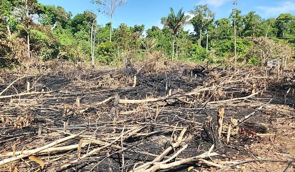 Polícia Civil do Amazonas alerta a população sobre riscos da prática das queimadas