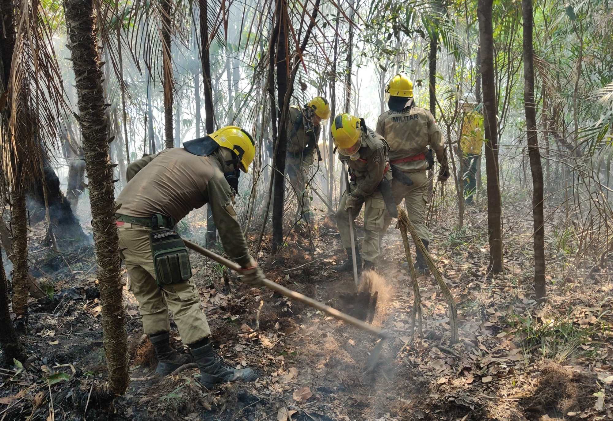 Ampliação de bases operacionais 

No dia 26 de setembro, o governador Wilson Lima anunciou a aprovação do valor de R$ 45 milhões para o combate às queimadas. O recurso é proveniente do Fundo Amazônia e será usado para a implementação de brigadas de incêndios em 21 municípios do interior, que juntos representam 95% dos incêndios no Amazonas. A instalação das novas bases deve ser totalmente realizada até o primeiro semestre de 2025.

Ação integrada

Além da atuação direta no combate aos incêndios por meio do Corpo de Bombeiros, o Governo do Amazonas também tem reforçado o trabalho de monitoramento e fiscalização com os órgãos estaduais de segurança pública e meio ambiente. Ao todo, mais de 800 agentes, incluindo bombeiros, brigadistas e Força Nacional atuam nas linhas de frente no combate aos incêndios.

 