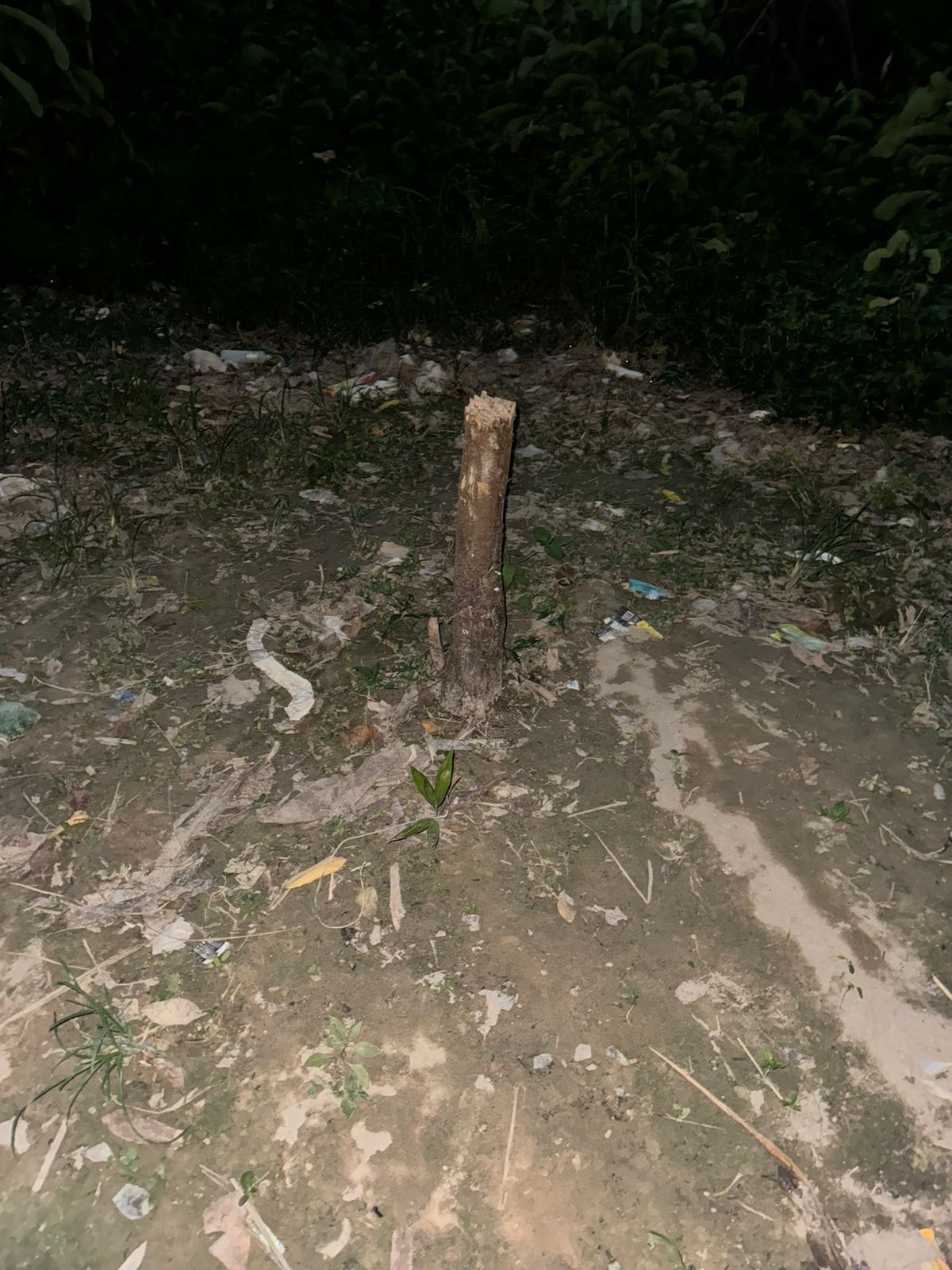 Polícia Civil do Amazonas resgata homem vítima de extorsão mediante sequestro e prende trio envolvido no crime