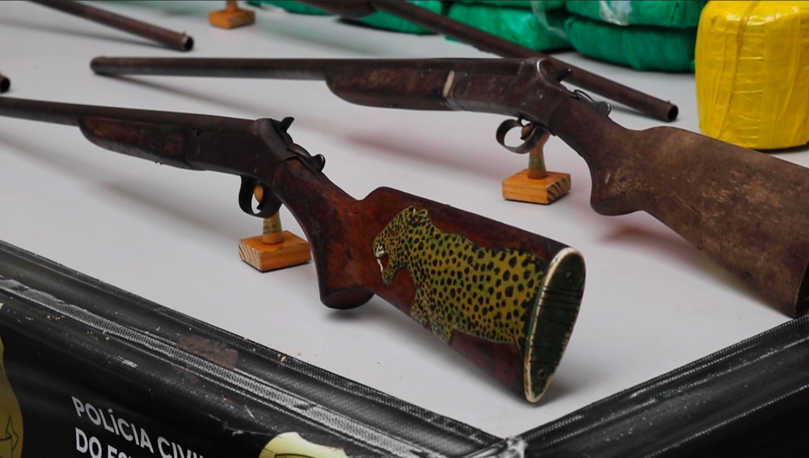 Em dez meses, Amazonas apreendeu mais de 1,2 mil armas de fogo e 16 mil munições