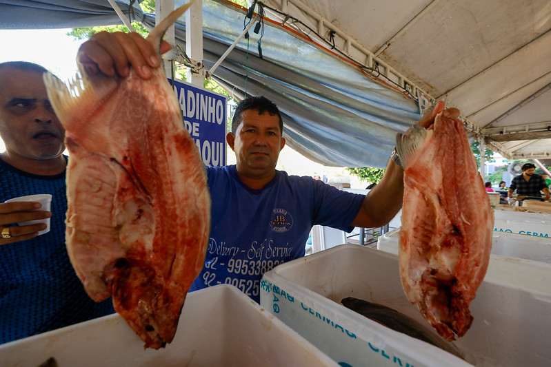 Feirão do Pescado: primeiro dia da edição especial traz ofertas e variedade de peixes
