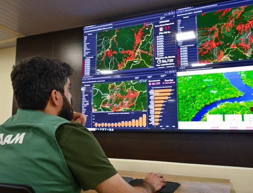 Ipaam registra queda de 16,65% no desmatamento e 72,72% nos focos de calor no Amazonas