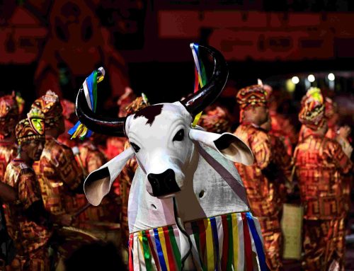 Bois-bumbás de Manaus encerram a programação do Festival Folclórico do Amazonas no Sambódromo